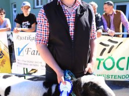 2019_ausstellung polling_475